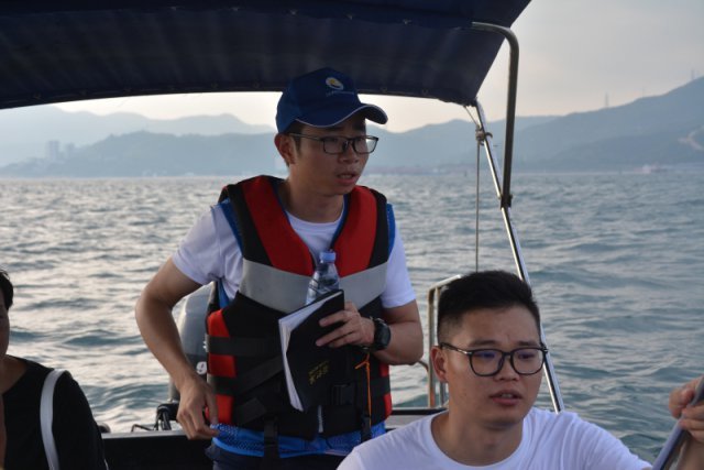 深圳海域又现海豚!状态活跃一跳2米高