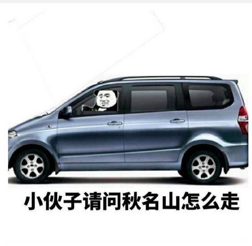 企鹅娘吐槽：为什么动作片老湿退役后都喜欢来中国捞钱？