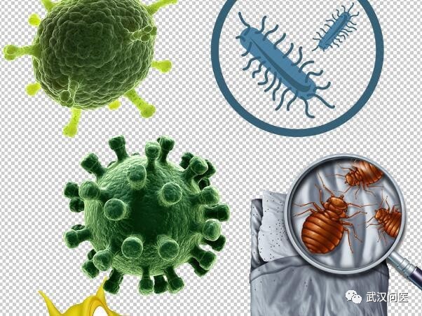 震惊!武汉市过敏性鼻炎患病率高达18%,这些年