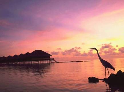 超实用帖!这么全的野餐地图还不赶紧收藏!