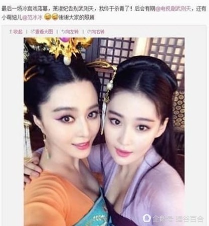 张馨予疑回应李晨求婚 画罂粟花暗讽范冰冰(组图) - 4