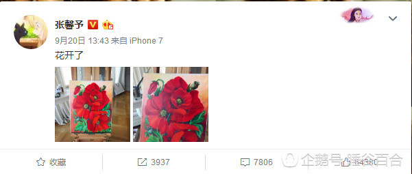 张馨予疑回应李晨求婚 画罂粟花暗讽范冰冰(组图) - 7
