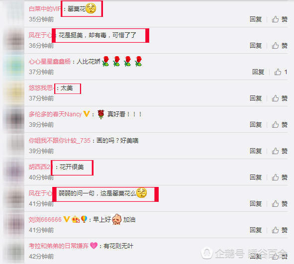 张馨予疑回应李晨求婚 画罂粟花暗讽范冰冰(组图) - 14