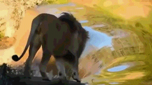 爆笑gif:天下武功唯快不破,这锁喉功真是无敌啊!