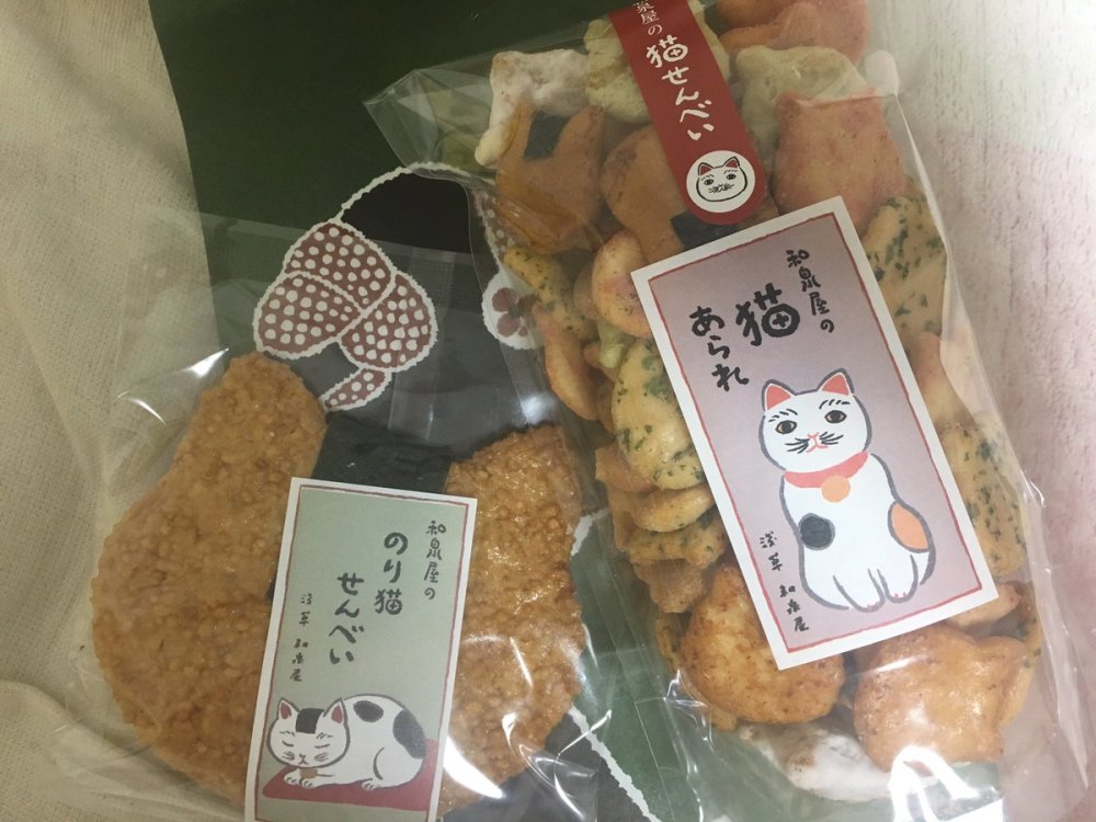 ǳݡèǳԵģɰèɱջ