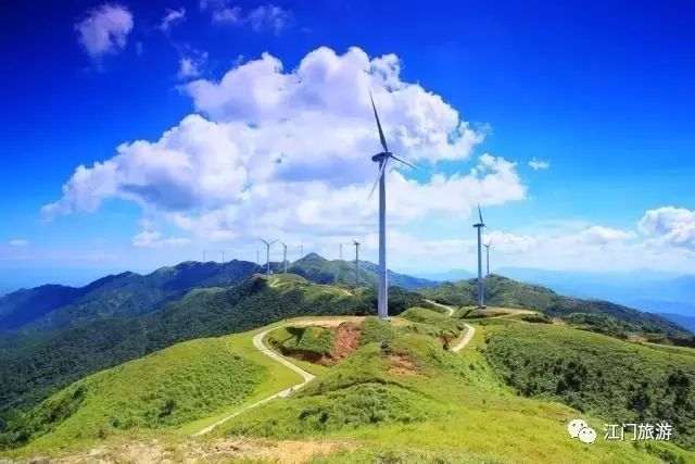 天露山,杜鹃花,江门,彭伟宗,大沙镇,黎月明