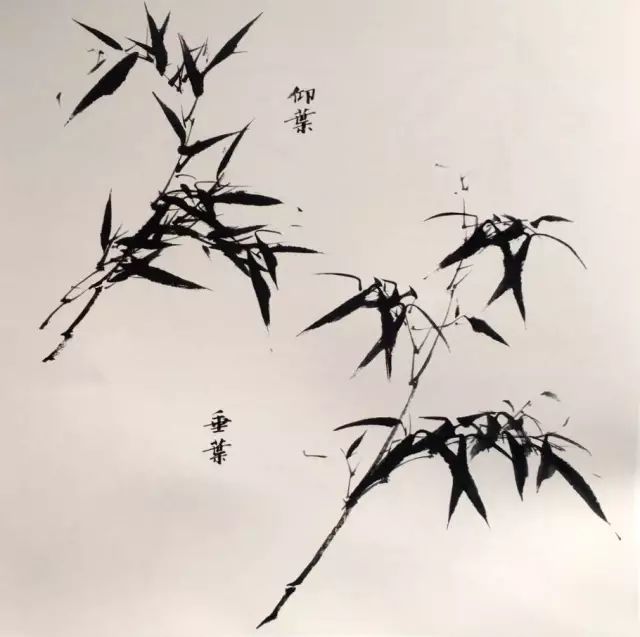 写意花鸟画教程:石头,竹子的绘画技法,详细实用!