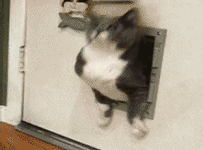 爆笑gif趣图:你们在练什么功?玉女心经第三层那段吗?