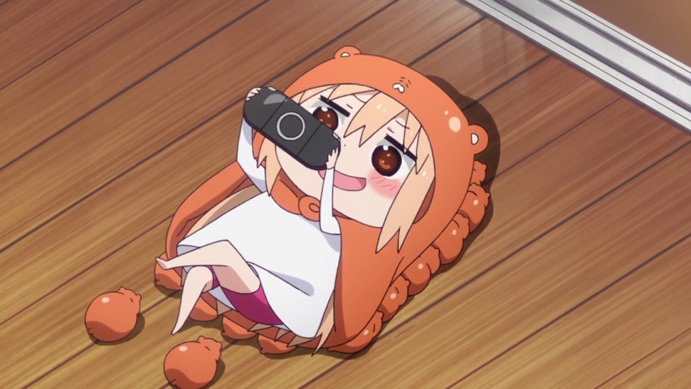 ʮΪʲôΪʲôСȫѧϰ