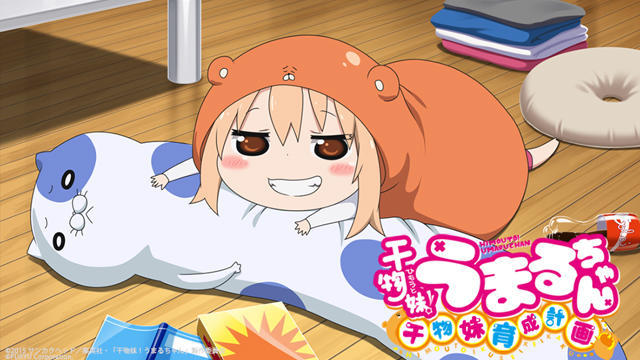 ʮΪʲôΪʲôСȫѧϰ