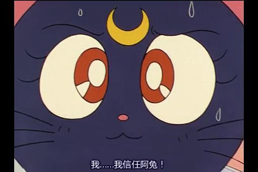 聚众吸猫！盘点有喵星人出现的日本动画