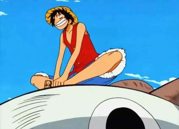 ʮΪʲôΪʲôռҿάƣ