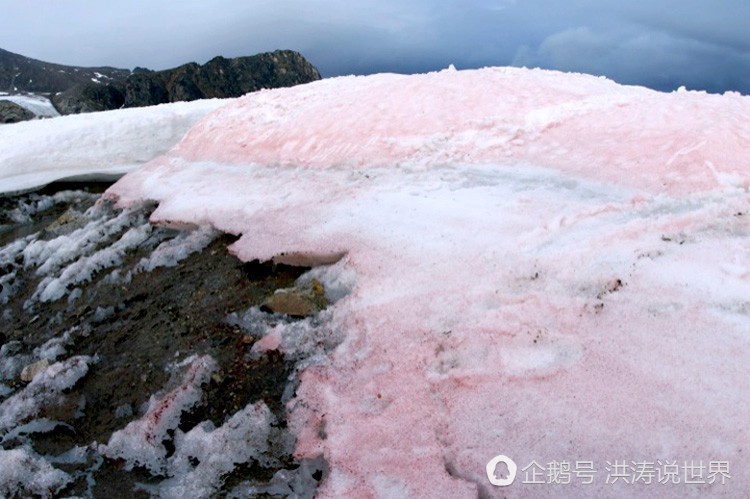 美国再次天降红雪 融化后有西瓜的气味（组图） - 4