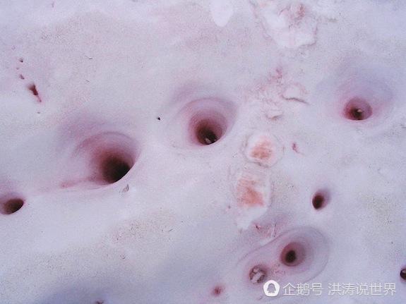 美国再次天降红雪 融化后有西瓜的气味（组图） - 2