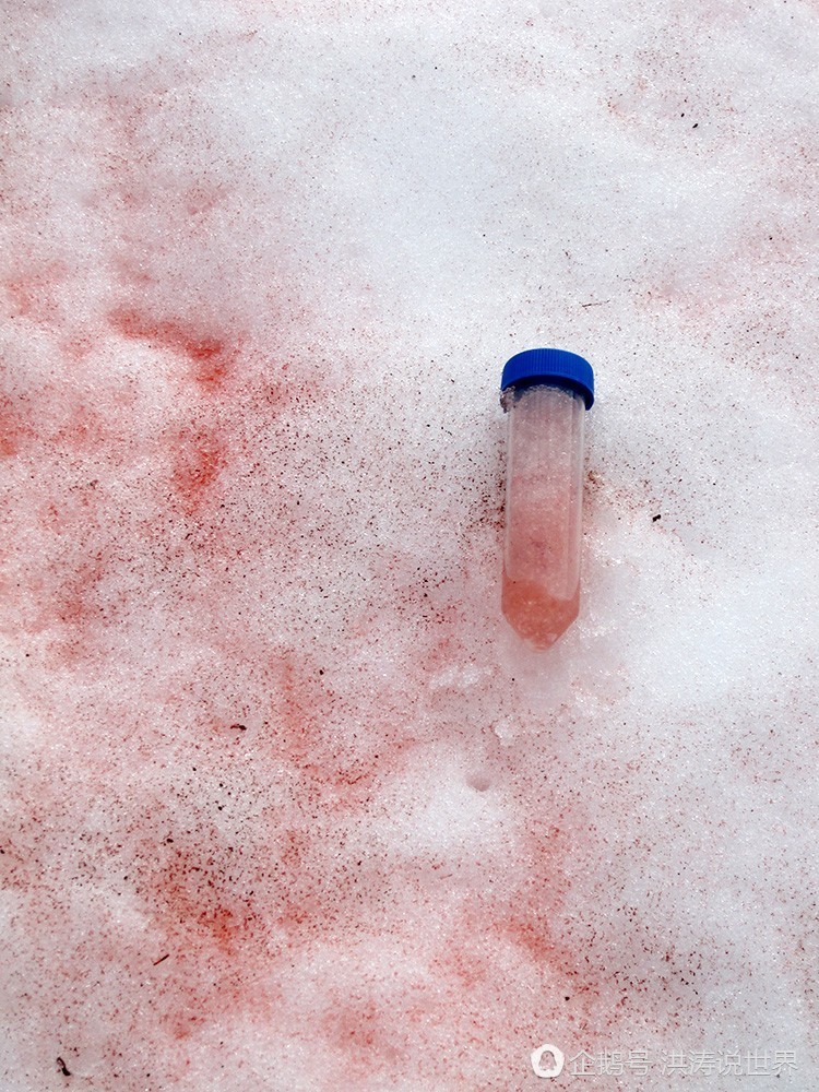 美国再次天降红雪 融化后有西瓜的气味（组图） - 3