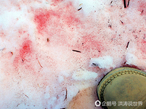 美国再次天降红雪 融化后有西瓜的气味（组图） - 9