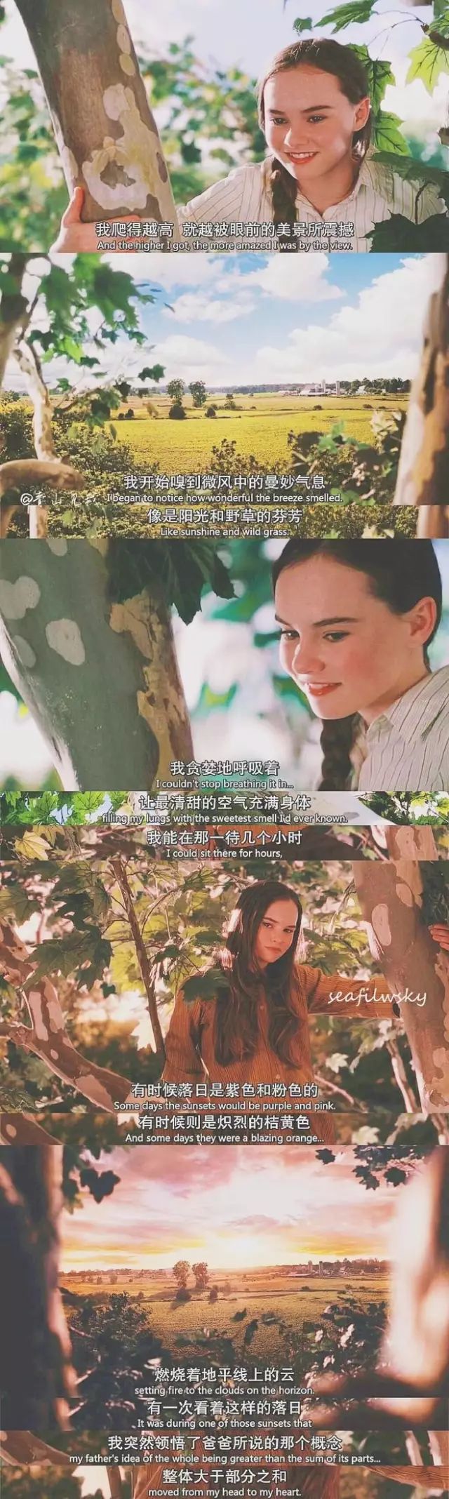 怦然心动电影图解
