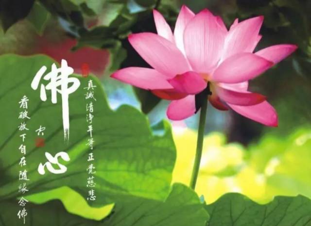 嘴上不会说的人,你一定要看看!