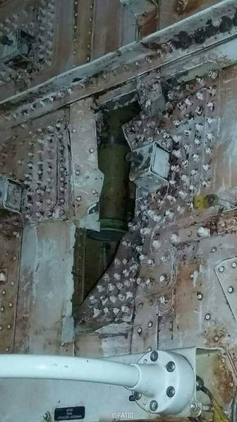惊！飞机空中撞鸟 飞机鼻子被直接击穿！（组图） - 4