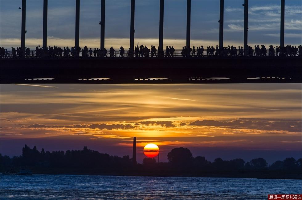 一周精选:狗狗冲浪大赛