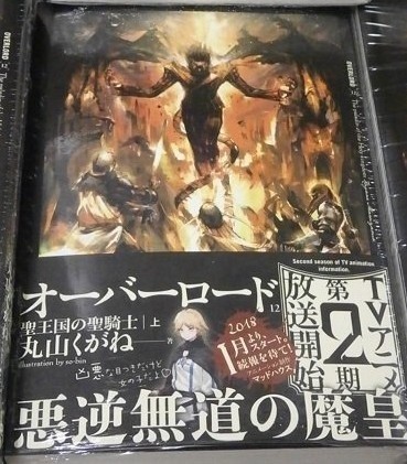 εˣOverlordڶ20181¿