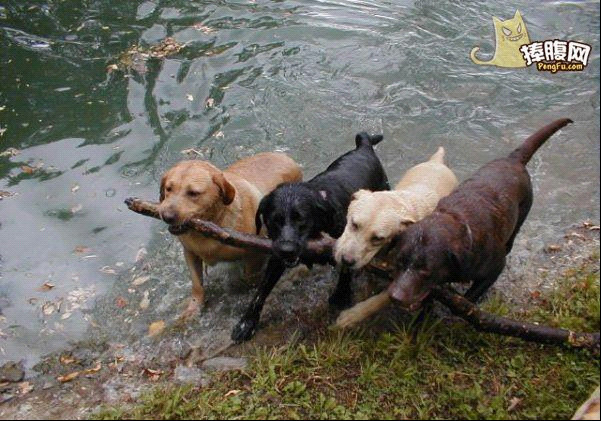 <em>囧图</em>:现在的学妹太放肆了