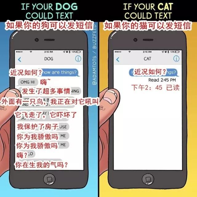 20��ͼ�����㣬è�͹�֮�������̫�����ˣ�