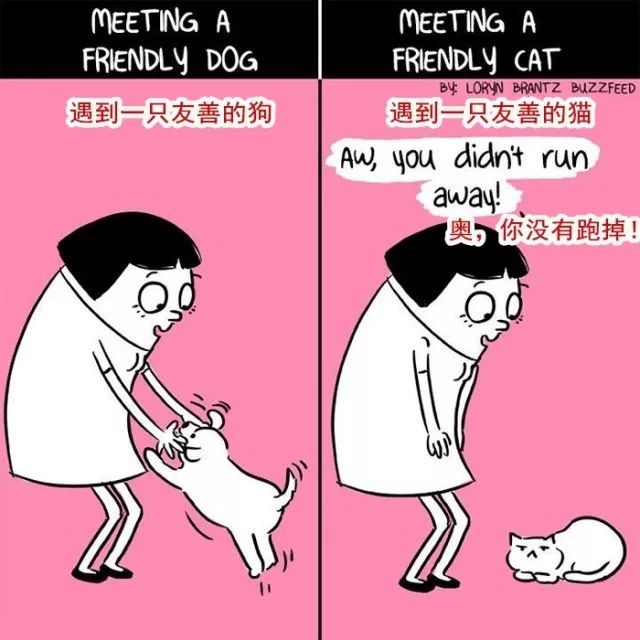 20��ͼ�����㣬è�͹�֮�������̫�����ˣ�