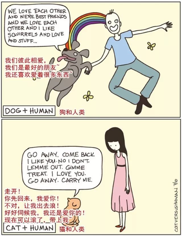 20��ͼ�����㣬è�͹�֮�������̫�����ˣ�