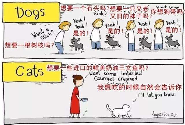 20��ͼ�����㣬è�͹�֮�������̫�����ˣ�