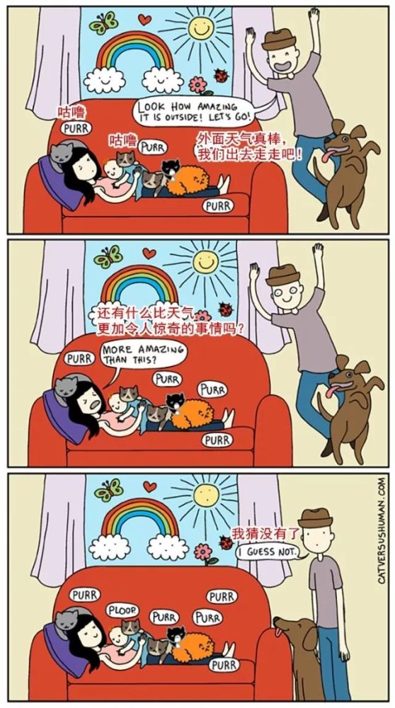 20��ͼ�����㣬è�͹�֮�������̫�����ˣ�