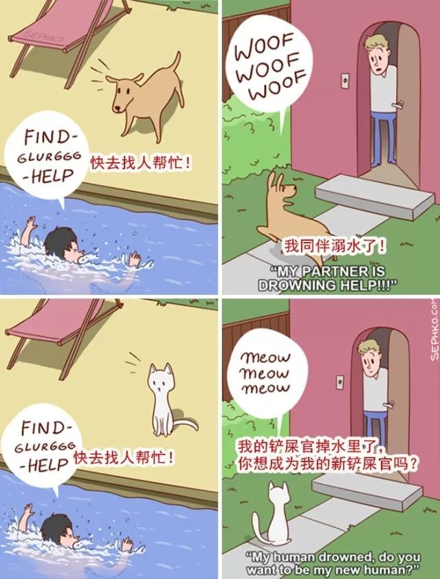 20��ͼ�����㣬è�͹�֮�������̫�����ˣ�