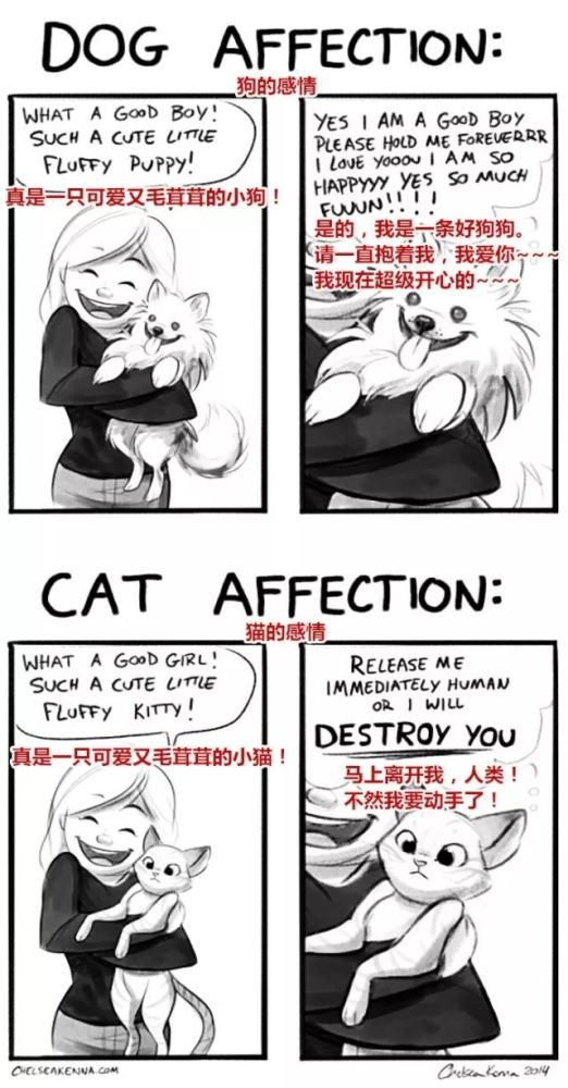 20��ͼ�����㣬è�͹�֮�������̫�����ˣ�