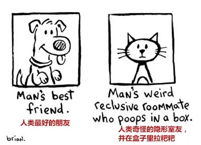 20��ͼ�����㣬è�͹�֮�������̫�����ˣ�