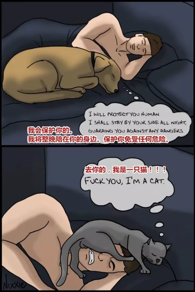 20��ͼ�����㣬è�͹�֮�������̫�����ˣ�