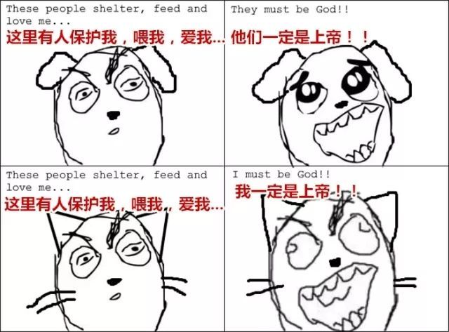 20��ͼ�����㣬è�͹�֮�������̫�����ˣ�