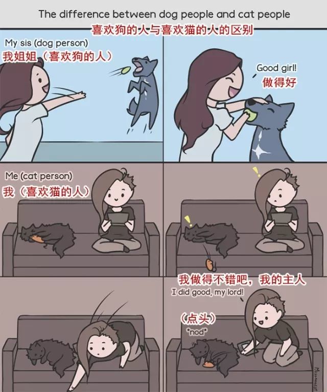 20��ͼ�����㣬è�͹�֮�������̫�����ˣ�