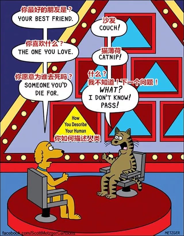 20��ͼ�����㣬è�͹�֮�������̫�����ˣ�