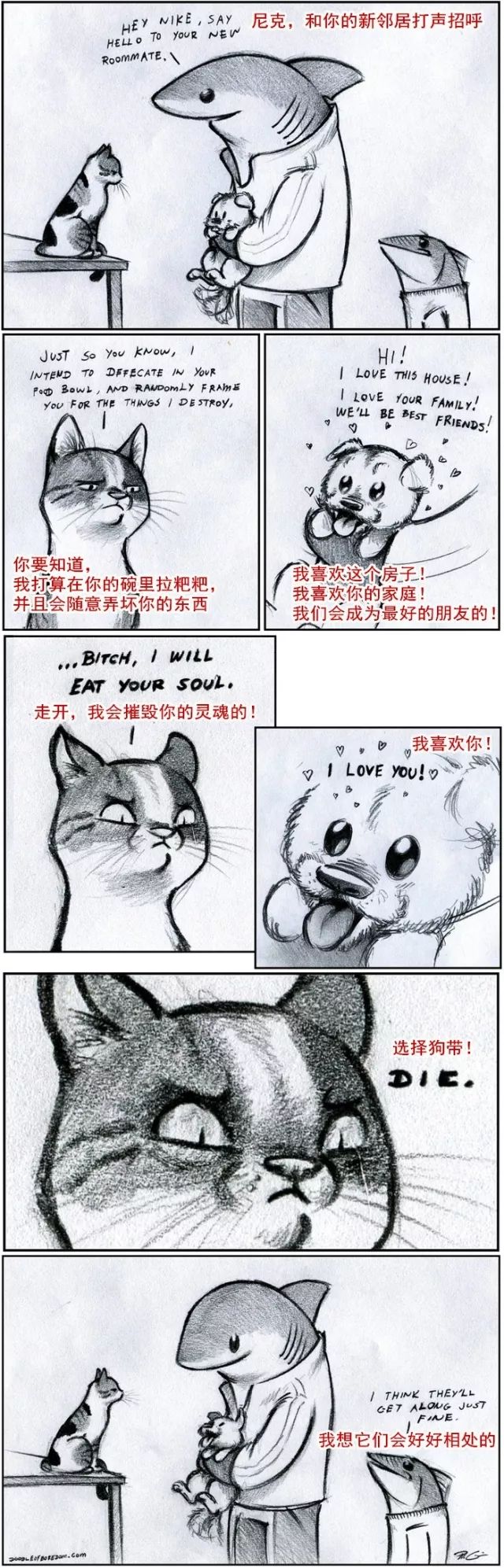 20��ͼ�����㣬è�͹�֮�������̫�����ˣ�