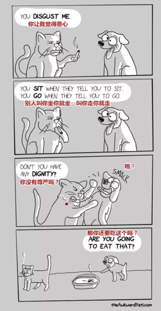 20��ͼ�����㣬è�͹�֮�������̫�����ˣ�