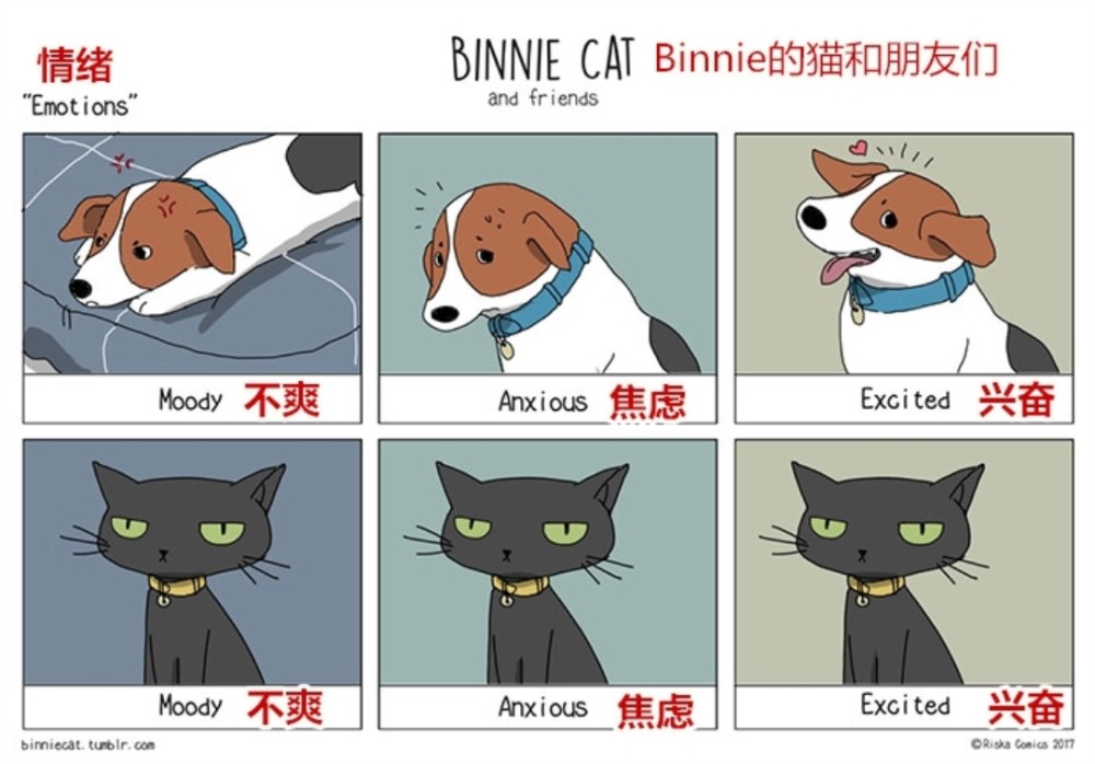 20��ͼ�����㣬è�͹�֮�������̫�����ˣ�