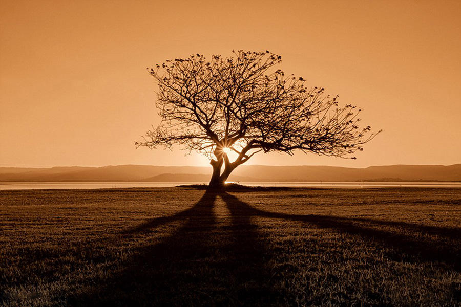 摄影师到欧洲旅游拍下罕见的绝美画面,只为消除抑郁阴影