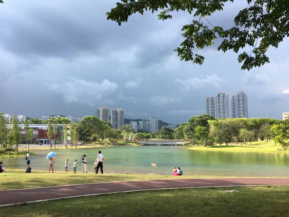 以及人气一直很旺的深圳湾公园,红树林生态公园, 莲花山公园,中心