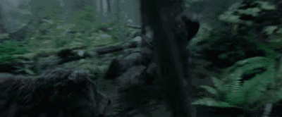 《荒野猎人》绝对值得影院看