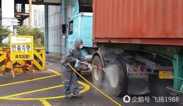 比丧尸还恐怖的杀人蚁现身韩国，当局慌了，出动挖掘机掘地三尺 - 3