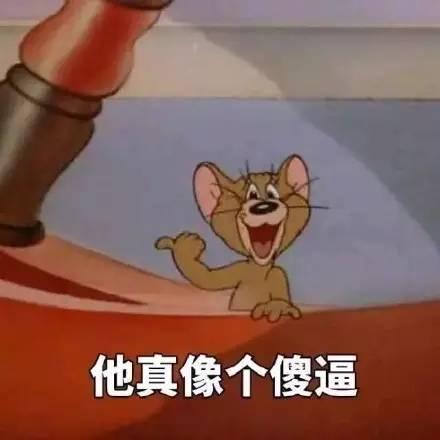 猫和老鼠斗图专用表情包,丢你老鼠!