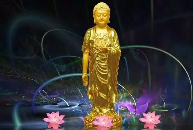 南无阿弥陀佛! 愿一切有情离苦得乐究竟解脱得自在!