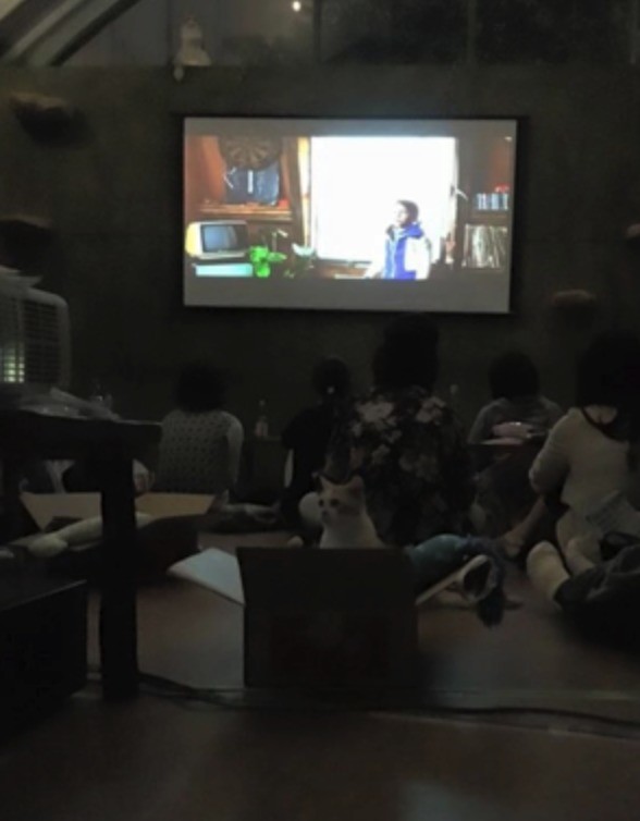吉祥寺猫咪祭又来了 人猫一起欣赏《猫咪后院》