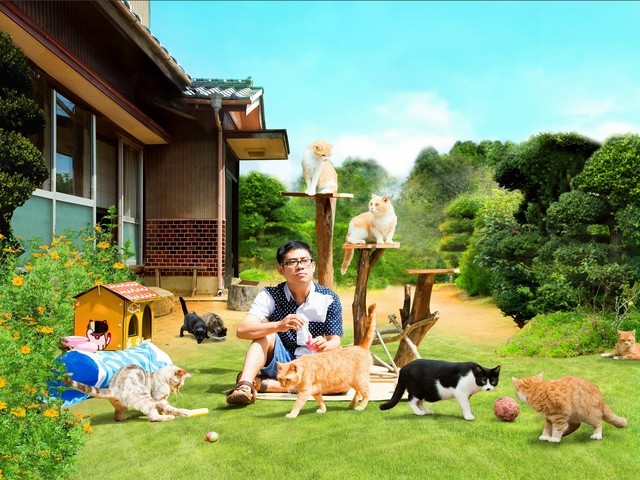 吉祥寺猫咪祭又来了 人猫一起欣赏《猫咪后院》