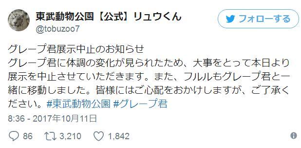 夫唱妇随！老企鹅身体抱恙《兽娘》看板陪伴在旁